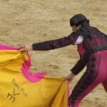 At the Bullfights Ole