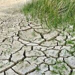 Climate Change and the Democrats
