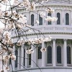 What to Do About Nancy Pelosi's Pa?