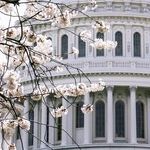 Will Joe Manchin III Cross the Aisle?