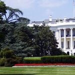 Who Will Not Be the 2020 Presidential Nominee