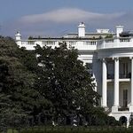 Weeding Out the 2020 Presidential Candidates