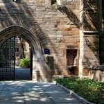 Trump and College Chaos