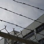 Criminologists Mislead Us