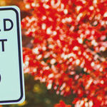 Costs Must Be Weighed Against Benefits