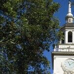 Mark Levin's 'Rediscovering Americanism'
