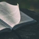 My New Book: 'Jesus Is Risen'