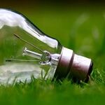 Environmentalism, Pantheism, Statism and Pessimism