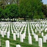 Requiem for a VA Victim