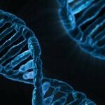Forensic Nightmare: The Perils of Touch DNA