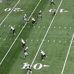 NFL Pigskins at the Public Trough
