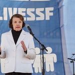 Investigate the Senate Democrat Wrecking Machine