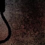 Malkin's Handy History of Fake Noose