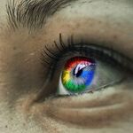 Triggering the Google Social Credit System