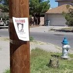 Missing Marizela: Ten Years