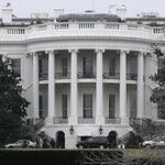 Trump's Picks