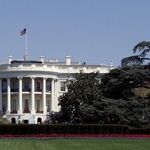 Shut Up and Govern
