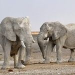 The Future for Republicans