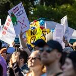 Networks Pour Out Positive Publicity on 'No Kings' Protests
