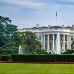 The Art Lovers Trash Trump From Ballrooms to Museums