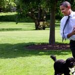 The Never-Ending Obama Valentine