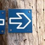 Al Franken Is 'Sick,' All Right