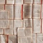 The Furious Fake News of Feminist Novelists