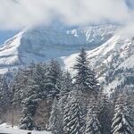 Weinstein Amnesia Rules At Sundance
