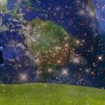Earth Worship and Climate Confessions