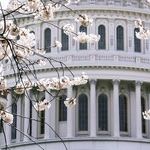 PolitiFact Isn't Partisan? Pants On Fire