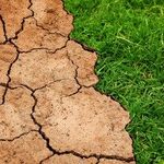 Climate Democracy Dies in Darkness