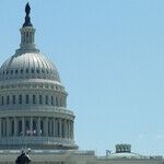 Radical Raskin's 'Unthinkable' Suicide Milking