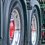 Allergic To The 'So-Called Freedom Convoy'