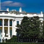 Liz Cheney's Quixotic Presidential Campaign
