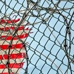 What Border Crisis? What Biden Fiasco?