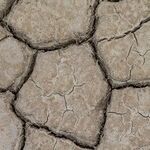 Democracy Dies in Climate Panic