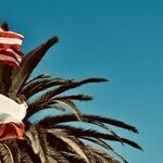 Exclusive 'Interview': Gavin Newsom on His Possible Presidential Launch