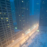 Chicagoland: A Tale of 2 Tragedies