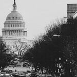 NAACP Shows Its Irrelevance by Recommending Trump's Impeachment