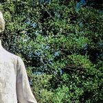 'Infrastructure' Bill -- Does Anyone Still Believe in the Constitution?