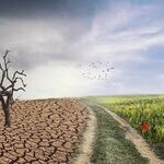 Climate Change Forecasts