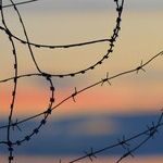 The New Gold Rush -- The American Border