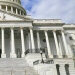 Democrats, Stop Being MAGA's Mommy