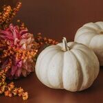 The Zen of Thanksgiving