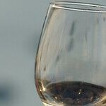 To Drink or Not to Drink. Wrong Question