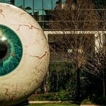 Big Brother Is Making You Watch Him