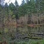 Government Keeps Rural West Going