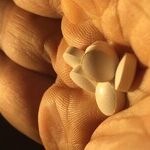 Our Sick Drug Business