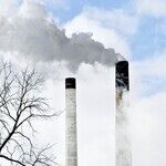 A Carbon Tax a Truly Good Idea