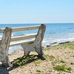 Environmental Malpractice Washes Onto the Beach